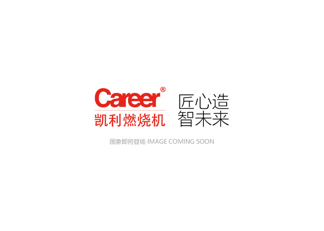 CX14/CX14-2 多級調(diào)節(jié) 柴油冶煉爐燃燒機